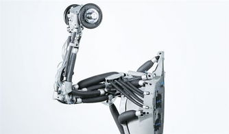 身輕體柔易推倒的生物機器人伴侶 還得等多久